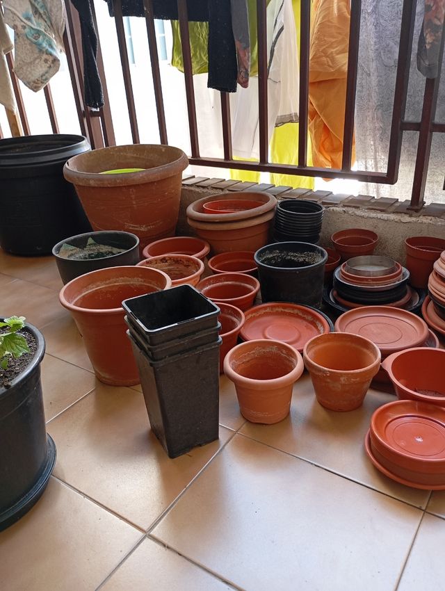 Macetas con platos
