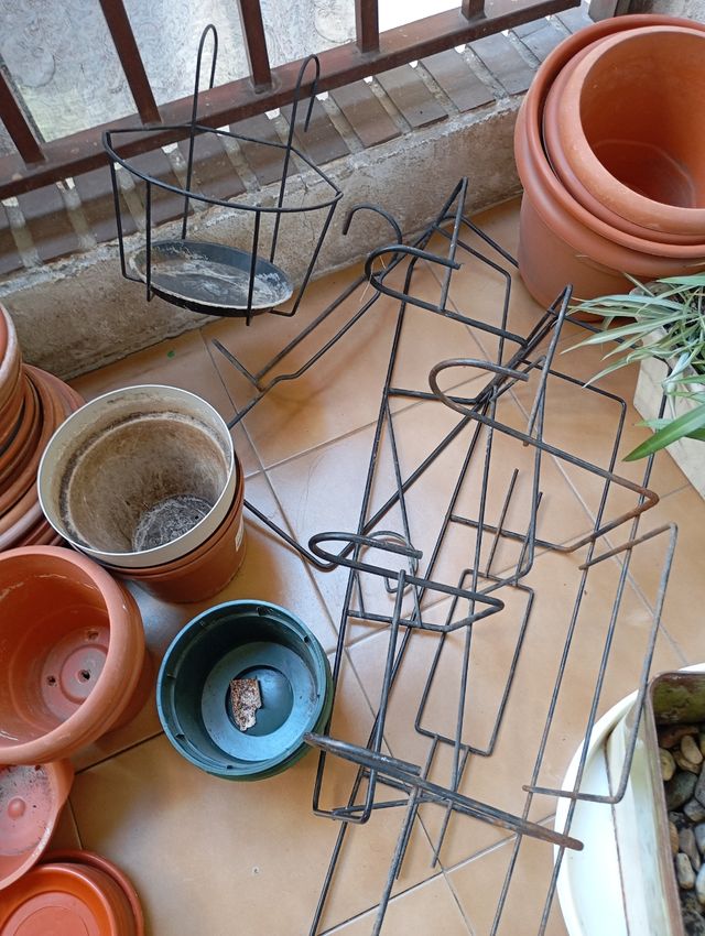 Macetas con platos