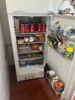 Frigorífico Gas Butsir Elegance 225