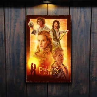 PLACA METALICA PRINCESA PROMETIDA CARTEL PELICULA