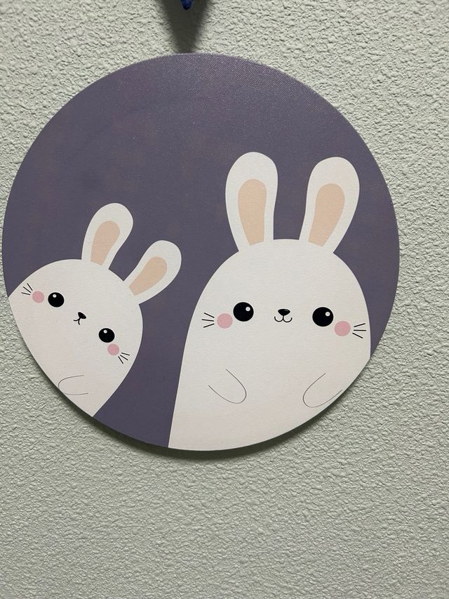 2 Cuadros infantiles conejos