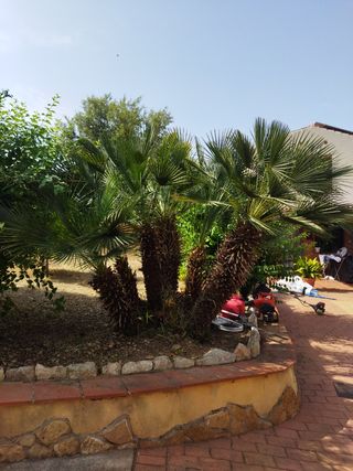 Servicios de jardinería a domicilios