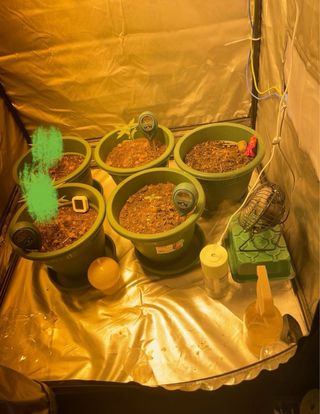 Armario cultivo interior