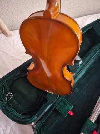 Violín para principiantes