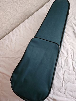 Violín para principiantes