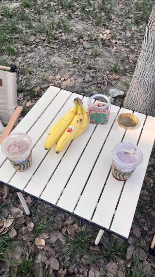 Mesa plegable - camping picnic