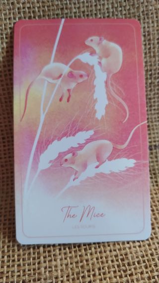 Oráculo The Owl and Magpie Lenormand 