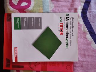 Matematica verde 5 