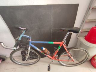 Bicicleta montaña vintage