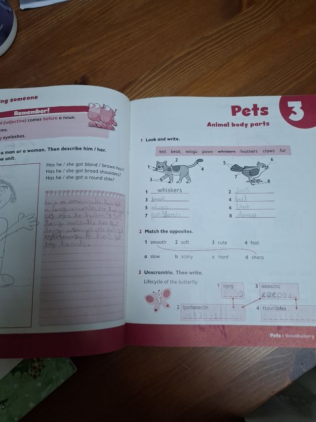 Poptropica English Islands Level 3 My Language ...