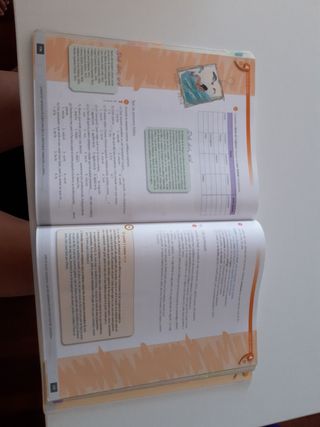 Ordit. Llengua. Batxillerat 2