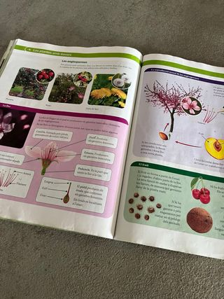 biologia y geologia 1 eso