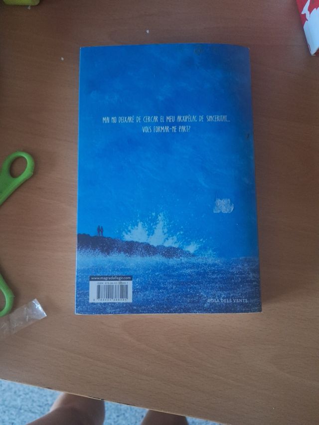 Brúixoles que busquen somriures perduts (Catala...