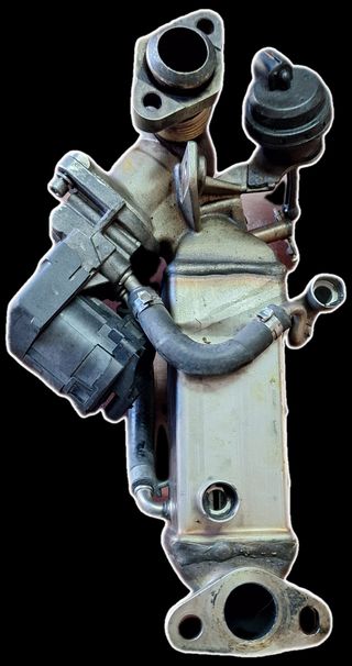 Válvula EGR BMW X6 usada