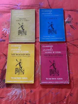 Cuadernos de Anatomía. Lecciones de Cátedra.