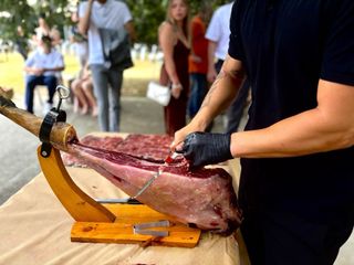 cortador de jamon profesional