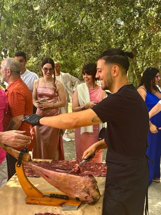 cortador de jamon profesional