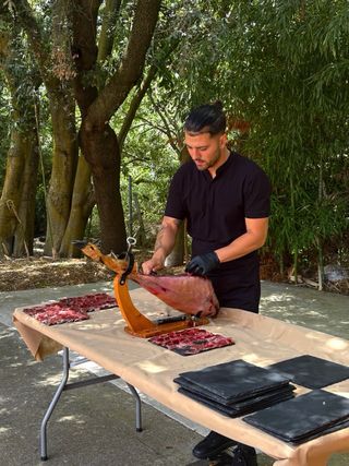 cortador de jamon profesional