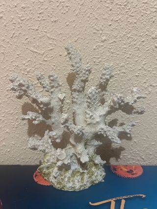 Decoración acuario coral 