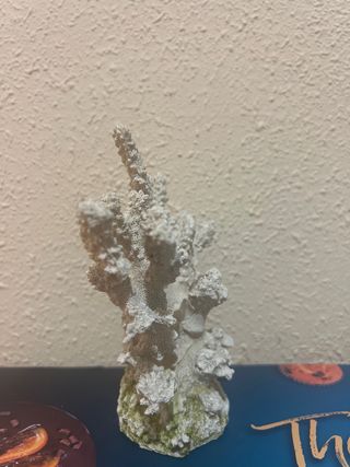 Decoración acuario coral 
