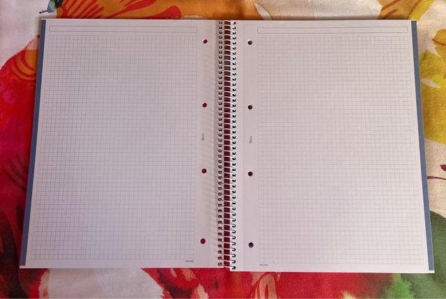 4 Cuadernos Agatha Ruiz de la Prada A4