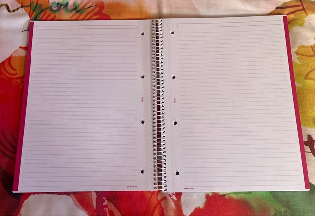 4 Cuadernos Agatha Ruiz de la Prada A4