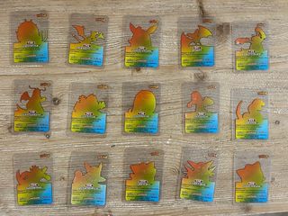 Lamincards Pokémon 2005