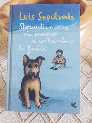 Storia di un cane che insegno a un bambino la f...