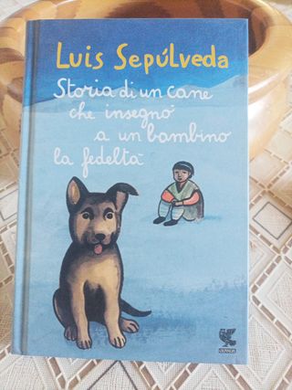 Storia di un cane che insegno a un bambino la f...