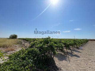 Terreno en venta en Ayuntamiento-Barrio Alto en Sanlúcar de Barrameda