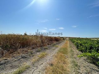 Terreno en venta en Ayuntamiento-Barrio Alto en Sanlúcar de Barrameda
