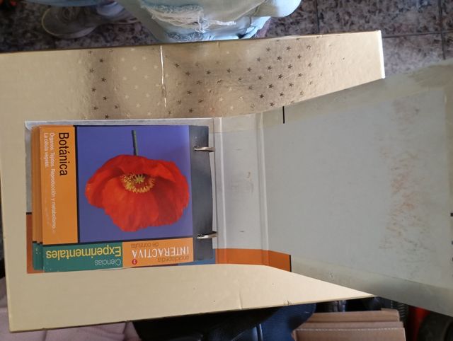 Interactiva de consultas