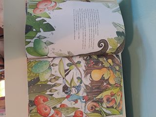 Libro ilustrado  Los amigos del bosque fantástico 