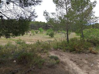 Solar en venta en Onil