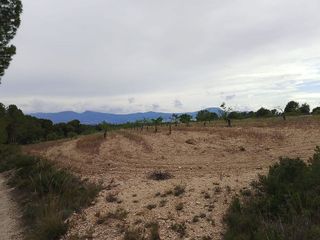 Solar en venta en Onil