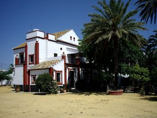 Hotel en alquiler en Montequinto en Dos Hermanas