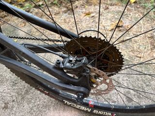 BH LYNX RACE CARBON 29”