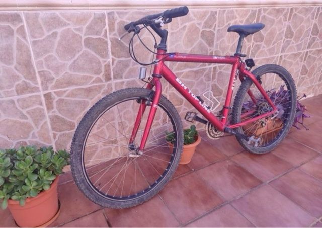 Bicicleta montaña BH TopLine