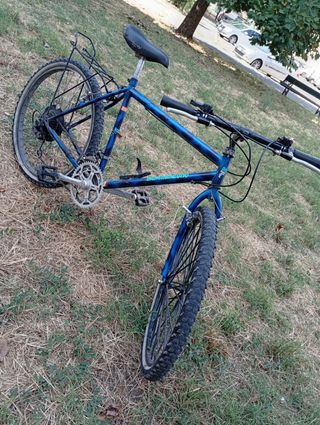 Mountain Bike 26" usata