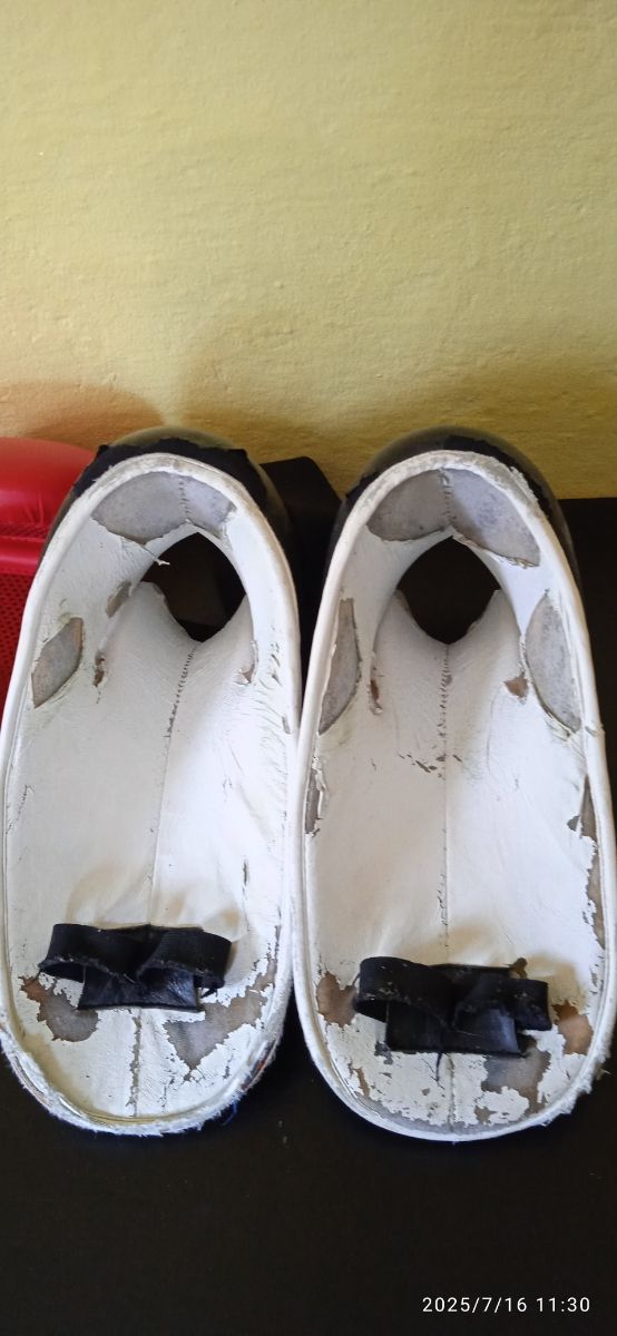 Guantoni Boxe 12oz - conchiglia protezione - piedi