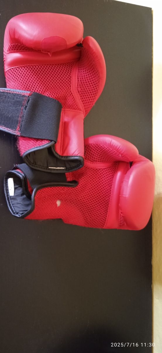 Guantoni Boxe 12oz - conchiglia protezione - piedi