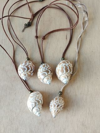Colgantes caracola: 5 piezas