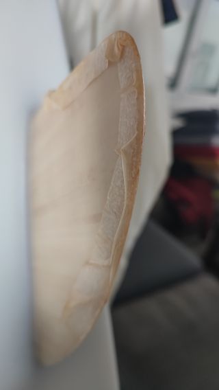 FISH CHANNEL ISLANDS mod. EVEN KEEL 5'10" - NUEVO