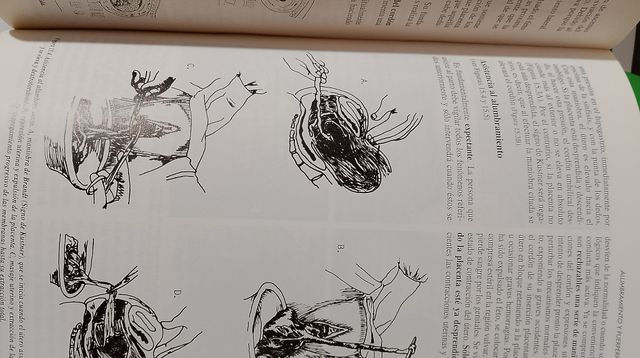 Osbstetricia y Ginecologia (tratado)