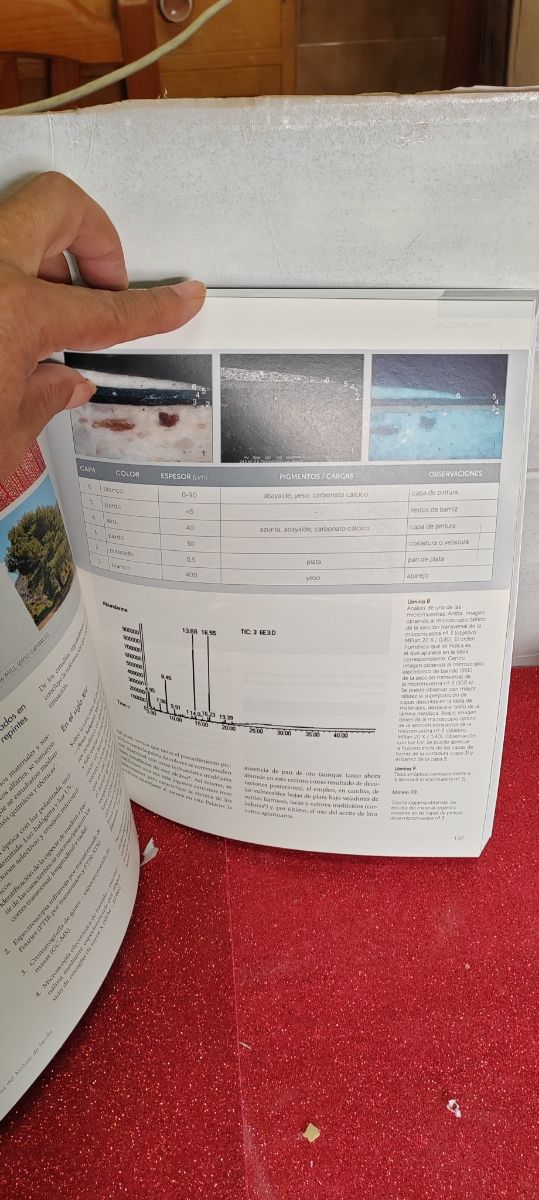 Apuntes Alcázar Sevilla: Libro