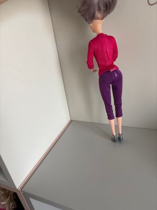 Muñeca Barbie - Cabello Gris