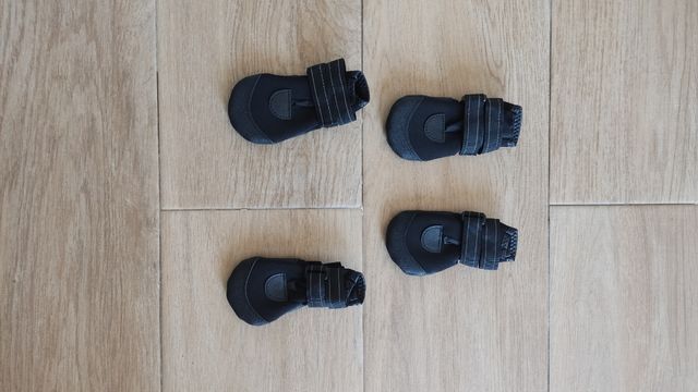 Zapatos perro - Antideslizantes