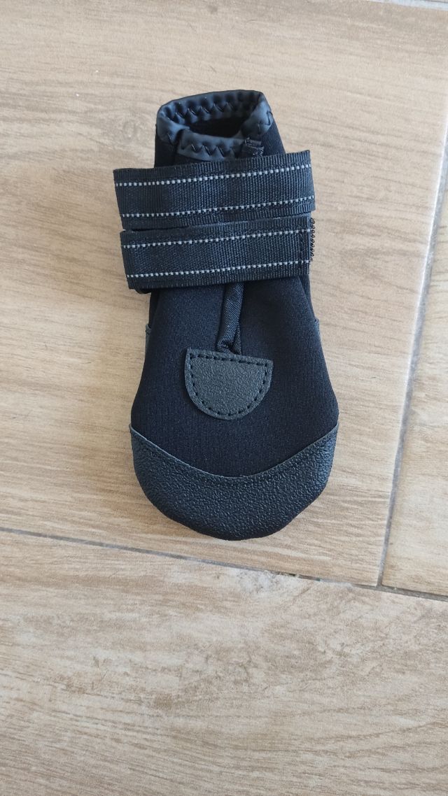 Zapatos perro - Antideslizantes