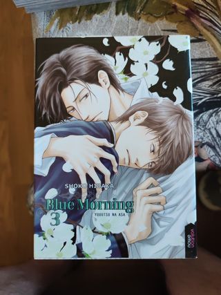 Blue Morning 1 - Shoko Hidaka
