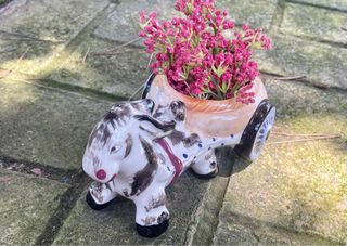 Maceta carrito burro